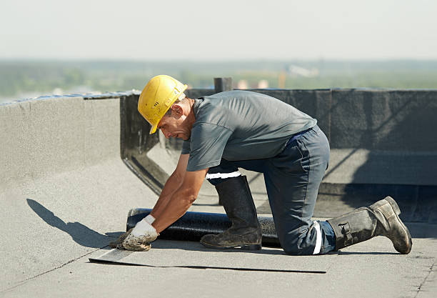 Best Insulation Contractors for Homes  in Ogden Dunes, IN